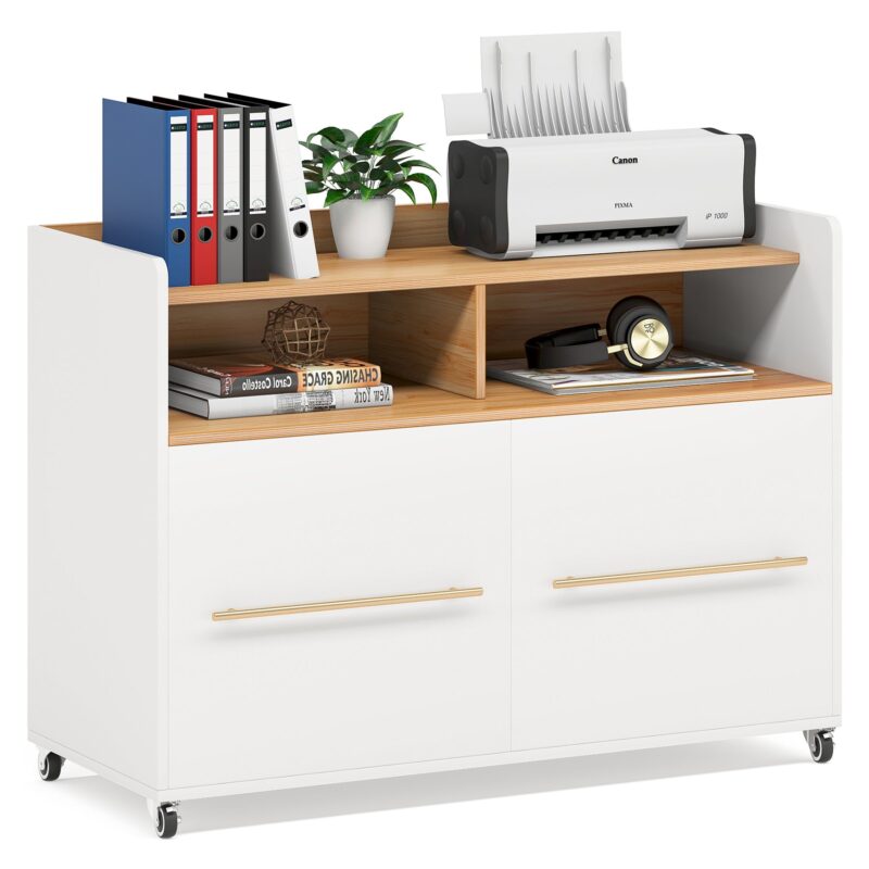 File Cabinet, 2 Drawer Rolling Lateral Filling Cabinet Printer Stand - Image 2