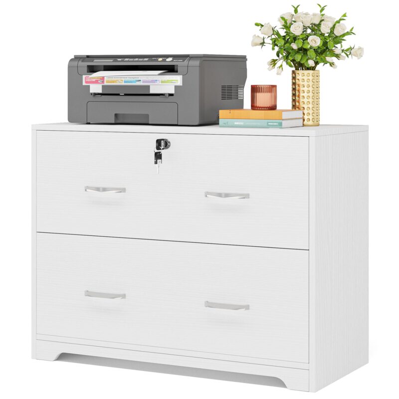 File Cabinet, Modern Lateral Storage Cabinet with 2-Drawer - Image 2