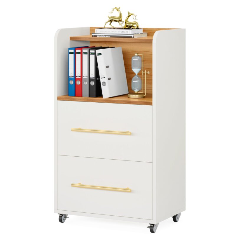 File Cabinet, 2 Drawer Rolling Filing Cabinet with Open Shelves