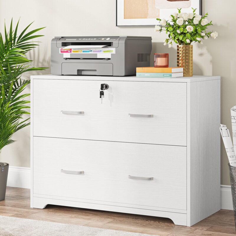 File Cabinet, Modern Lateral Storage Cabinet with 2-Drawer